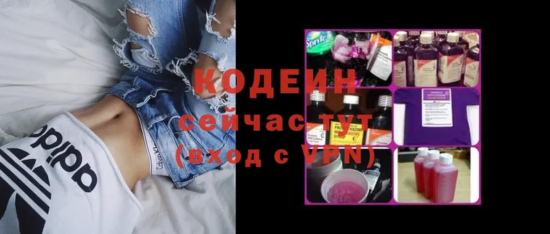 ссылка на мегу tor  магазин продажи наркотиков  Вяземский  Кодеин Purple Drank 